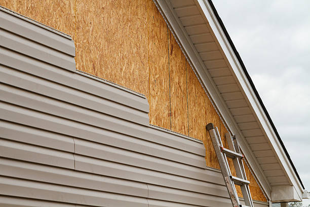 Professional Siding Repair technician working in Addison, WV